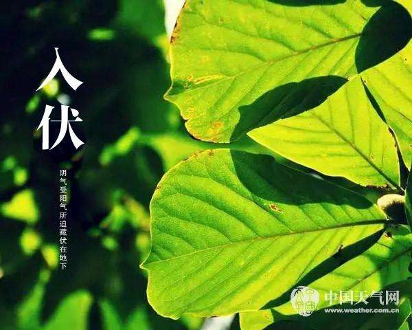 2025新奥原料免费资料