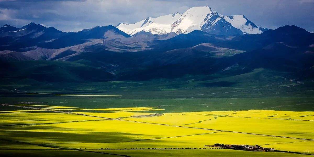 2025新奥原料免费资料