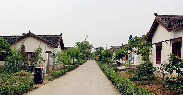 2025新奥原料免费资料