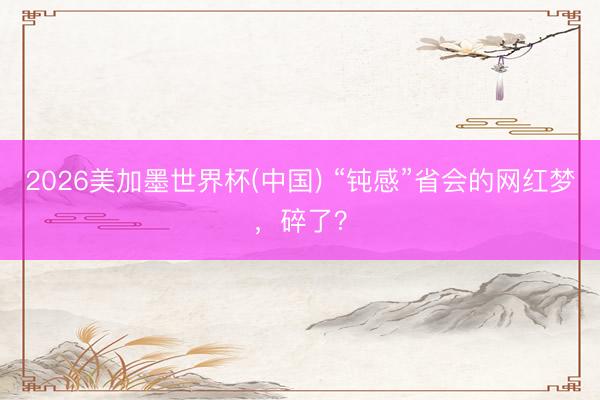 2026美加墨世界杯(中国) “钝感”省会的网红梦，碎了？