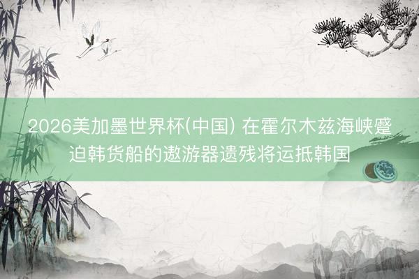 2026美加墨世界杯(中国) 在霍尔木兹海峡蹙迫韩货船的遨游器遗残将运抵韩国