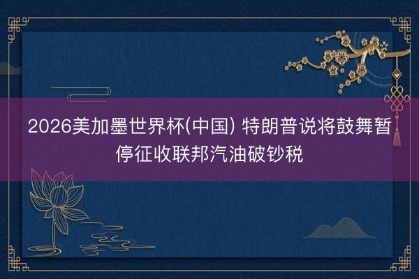 2026美加墨世界杯(中国) 特朗普说将鼓舞暂停征收联邦汽油破钞税