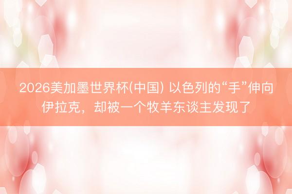 2026美加墨世界杯(中国) 以色列的“手”伸向伊拉克，却被一个牧羊东谈主发现了