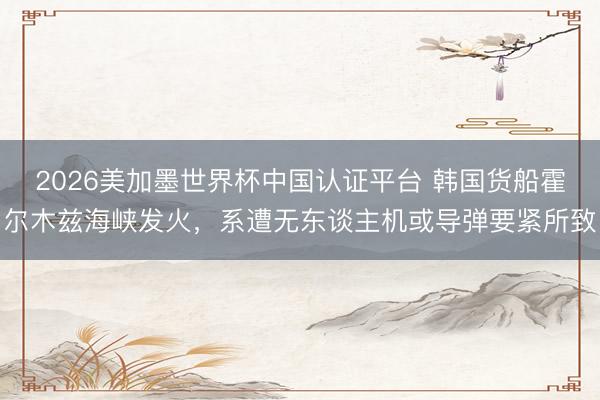 2026美加墨世界杯中国认证平台 韩国货船霍尔木兹海峡发火，系遭无东谈主机或导弹要紧所致