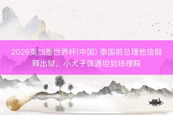 2026美加墨世界杯(中国) 泰国前总理他信假释出狱，小犬子佩通坦到场理睬