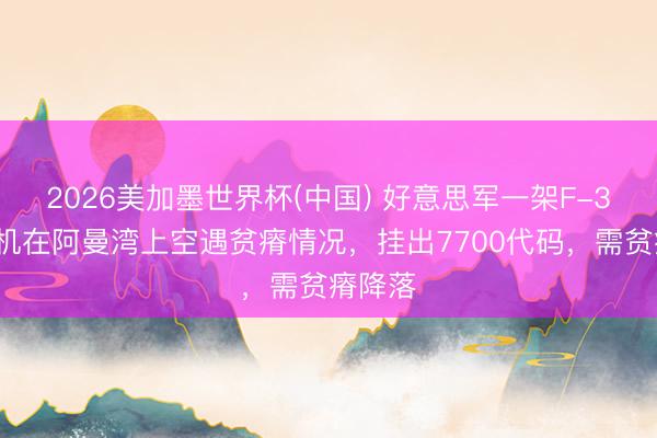2026美加墨世界杯(中国) 好意思军一架F-35接触机在阿曼湾上空遇贫瘠情况,挂出7700代码,需贫瘠降落