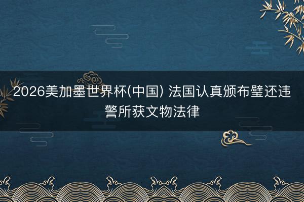 2026美加墨世界杯(中国) 法国认真颁布璧还违警所获文物法律