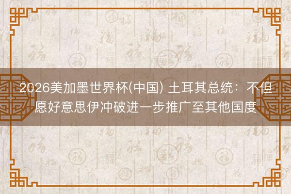 2026美加墨世界杯(中国) 土耳其总统：不但愿好意思伊冲破进一步推广至其他国度