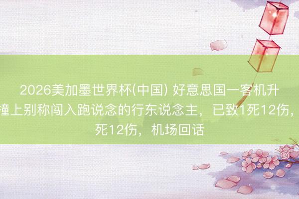 2026美加墨世界杯(中国) 好意思国一客机升起进程中撞上别称闯入跑说念的行东说念主，已致1死12伤，机场回话