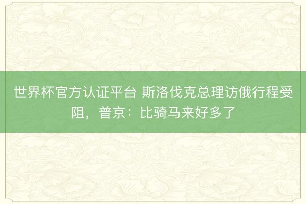 世界杯官方认证平台 斯洛伐克总理访俄行程受阻，普京：比骑马来好多了