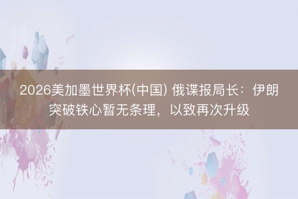 2026美加墨世界杯(中国) 俄谍报局长：伊朗突破铁心暂无条理，以致再次升级