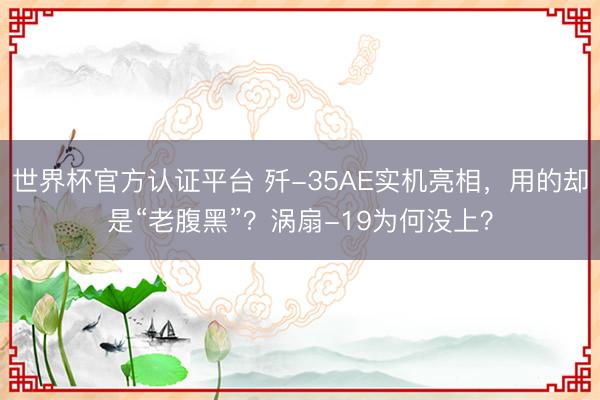 世界杯官方认证平台 歼-35AE实机亮相，用的却是“老腹黑”？涡扇-19为何没上？