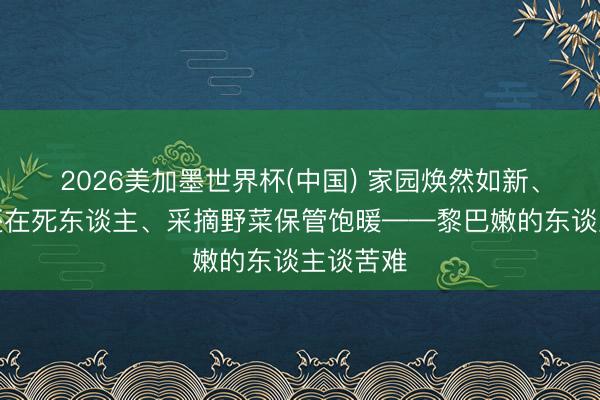 2026美加墨世界杯(中国) 家园焕然如新、媾和后还在死东谈主、采摘野菜保管饱暖——黎巴嫩的东谈主谈苦难