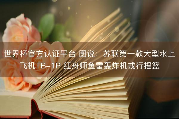 世界杯官方认证平台 图说:苏联第一款大型水上飞机TB-1P 红舟师鱼雷轰炸机戎行摇篮