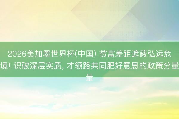 2026美加墨世界杯(中国) 贫富差距遮蔽弘远危境! 识破深层实质， 才领路共同肥好意思的政策分量