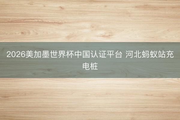 2026美加墨世界杯中国认证平台 河北蚂蚁站充电桩