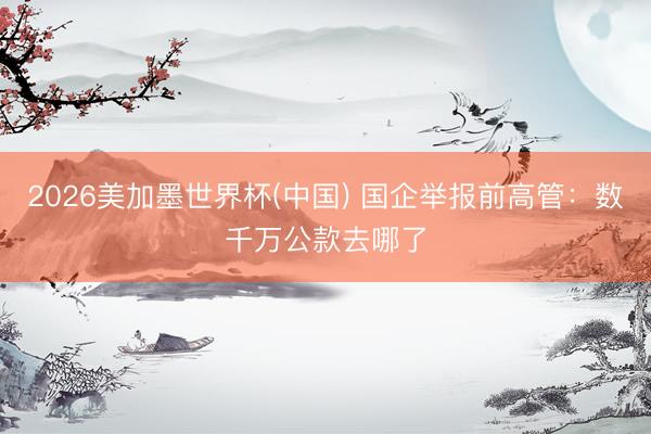 2026美加墨世界杯(中国) 国企举报前高管：数千万公款去哪了