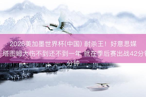 2026美加墨世界杯(中国) 耐杀王！好意思媒：塔图姆大伤不到还不到一年 就在季后赛出战42分钟