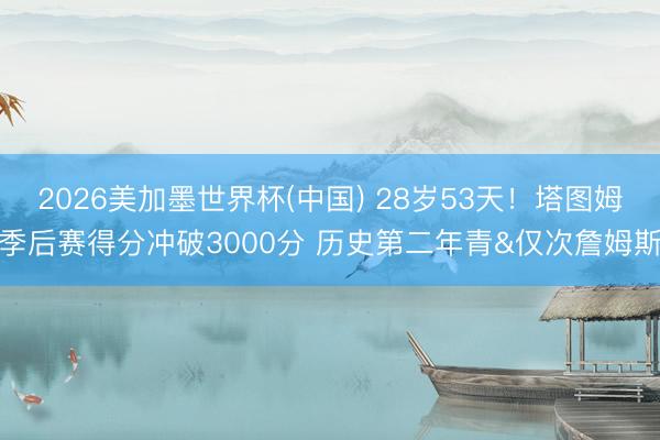 2026美加墨世界杯(中国) 28岁53天！塔图姆季后赛得分冲破3000分 历史第二年青&仅次詹姆斯