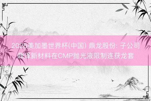 2026美加墨世界杯(中国) 鼎龙股份: 子公司鼎泽新材料在CMP抛光液限制连获龙套