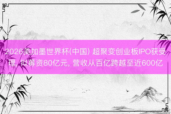 2026美加墨世界杯(中国) 超聚变创业板IPO获受理， 拟募资80亿元， 营收从百亿跨越至近600亿