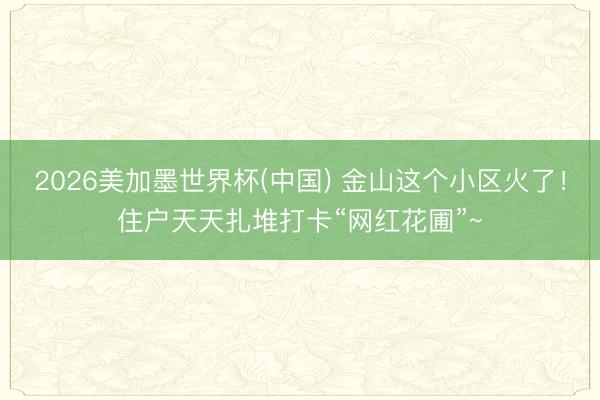 2026美加墨世界杯(中国) 金山这个小区火了！住户天天扎堆打卡“网红花圃”~