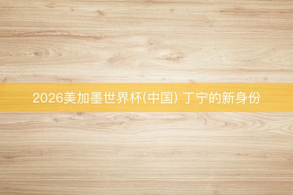 2026美加墨世界杯(中国) 丁宁的新身份