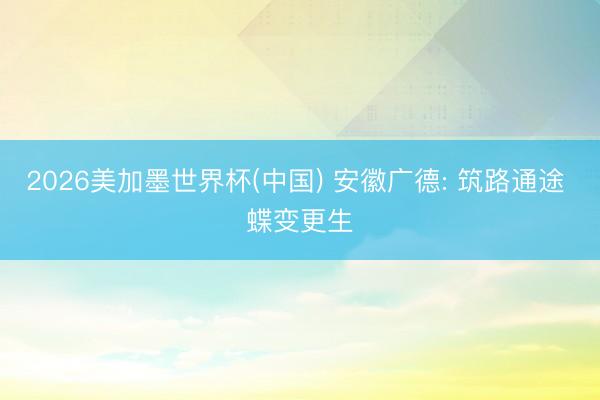 2026美加墨世界杯(中国) 安徽广德: 筑路通途 蝶变更生