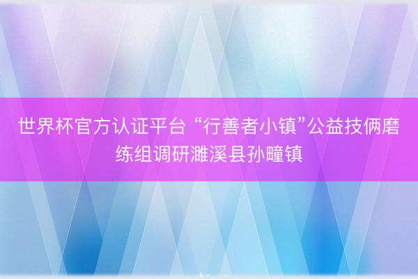 世界杯官方认证平台 “行善者小镇”公益技俩磨练组调研濉溪县孙疃镇