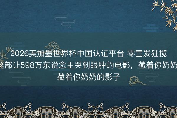 2026美加墨世界杯中国认证平台 零宣发狂揽2亿！这部让598万东说念主哭到眼肿的电影，藏着你奶奶的影子