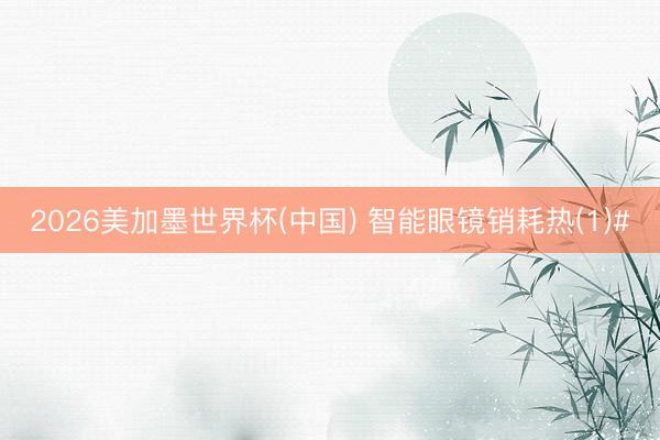2026美加墨世界杯(中国) 智能眼镜销耗热(1)#