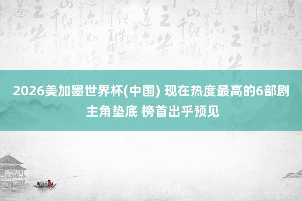 2026美加墨世界杯(中国) 现在热度最高的6部剧 主角垫底 榜首出乎预见